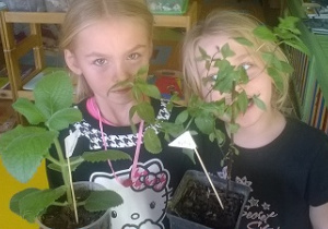 Zdjecie przedstawia dwie dziewczynki, które pokazują jakie zioła wyhodowały.